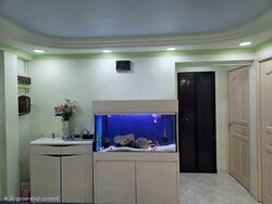 Blk 107 Bishan View (Bishan), HDB 4 Rooms #553611271